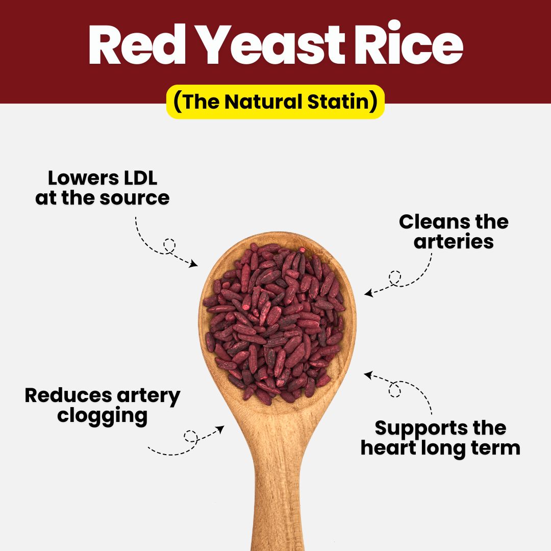 Red Yeast Rice & CoQ10 Cholesterol Cleanse