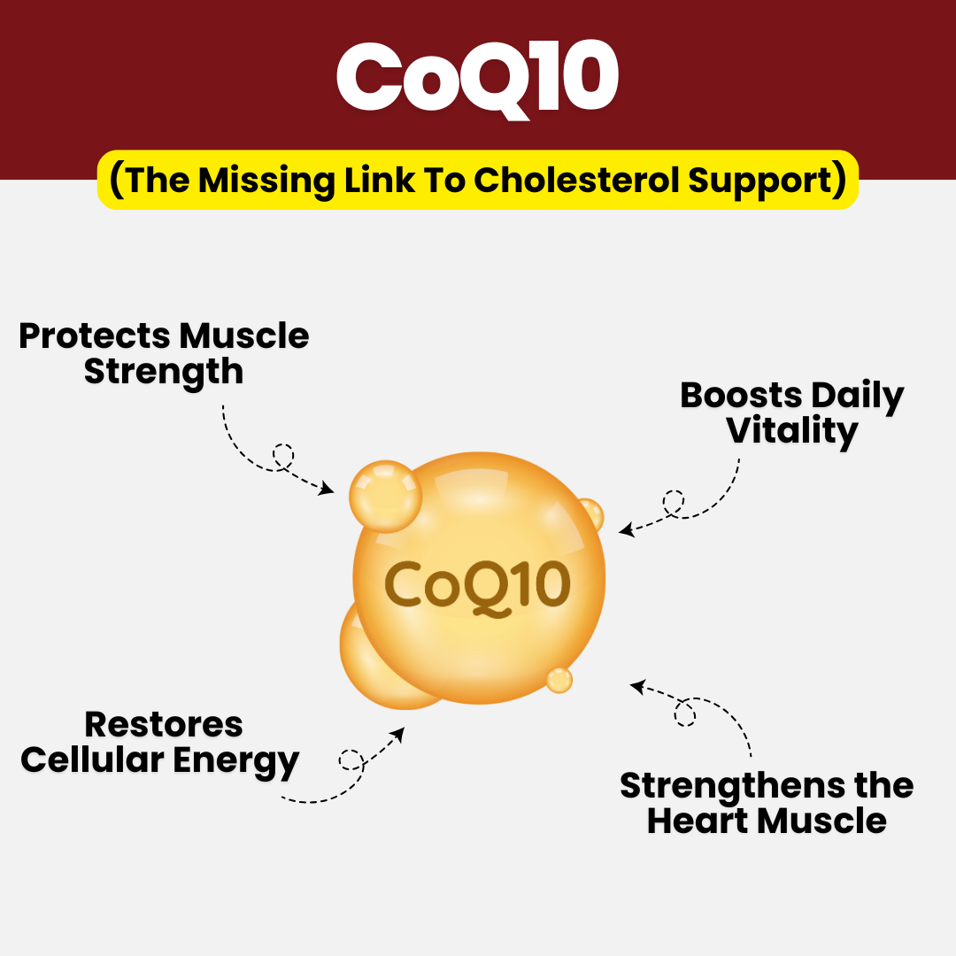 Red Yeast Rice & CoQ10 Cholesterol Cleanse