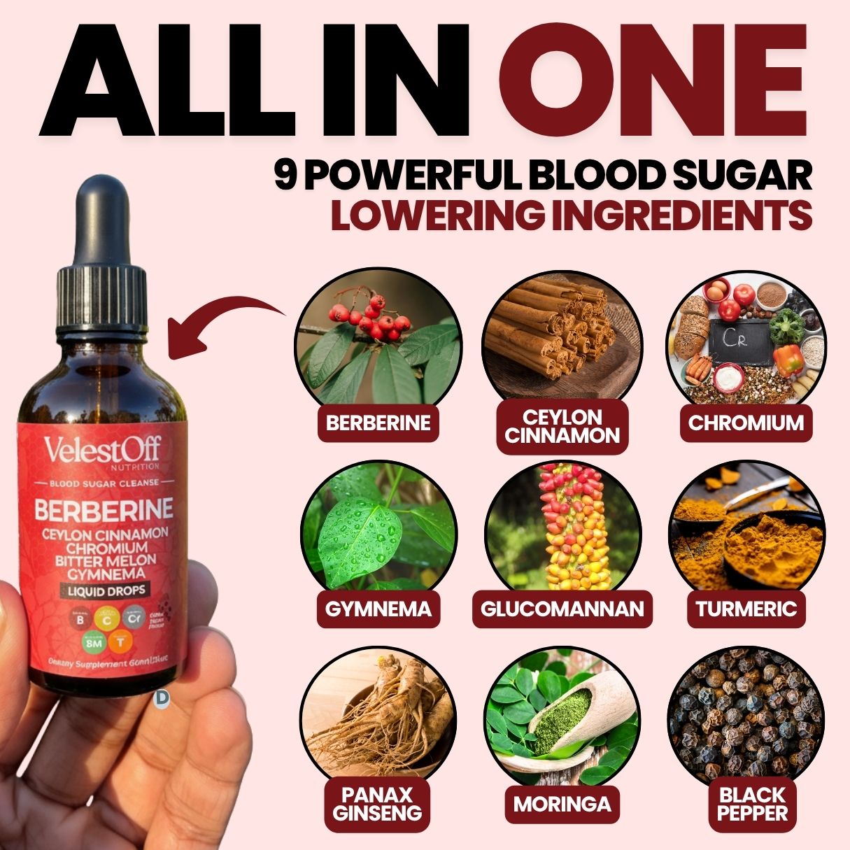 9 In 1 Berberine Blood Sugar Cleanse