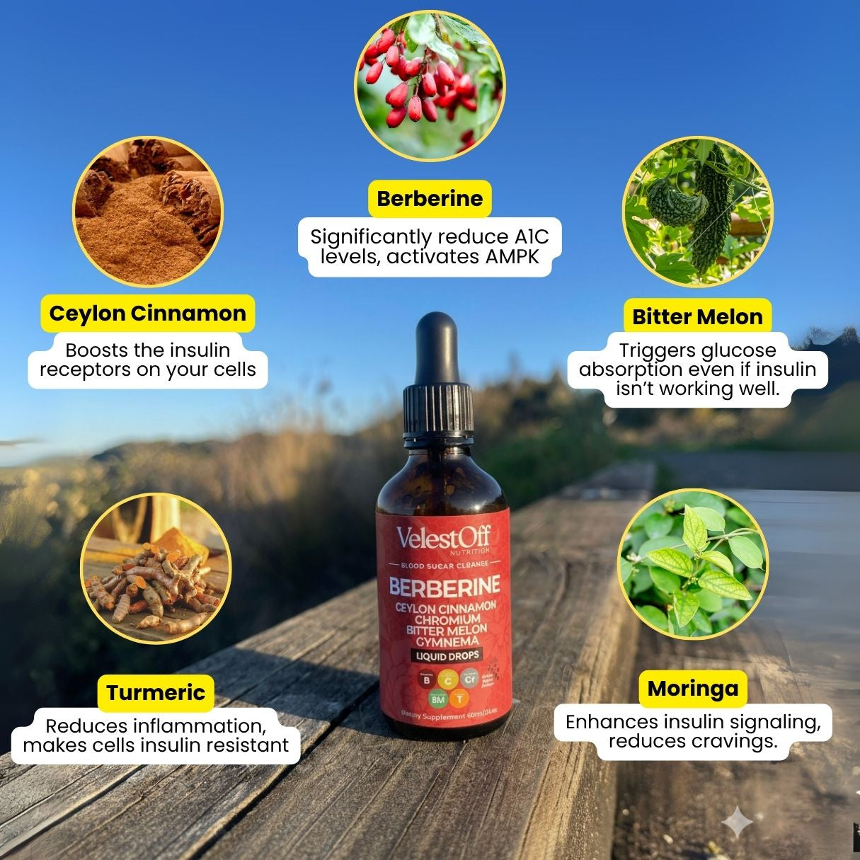 9 In 1 Berberine Blood Sugar Cleanse