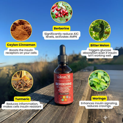 9 In 1 Berberine Blood Sugar Cleanse